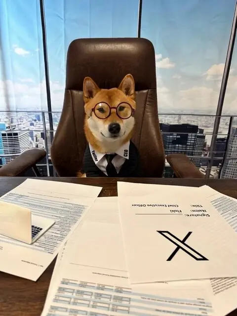 Floki seated at a desk with an X document